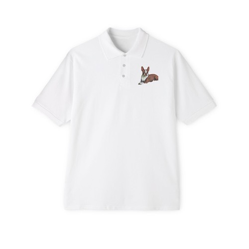 Boston terrier brown - boston,