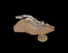 Taxidermy Tiny Corn Snake