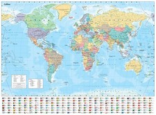 Collins Large World Wall Paper
