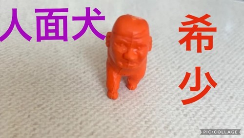 Human face dog - , eraser