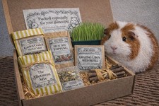 Guinea Pig Treat Box Natural