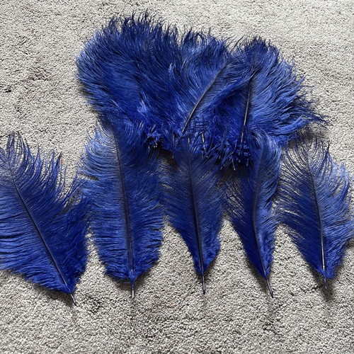 Ostrich plumes 25cm - ostrich,