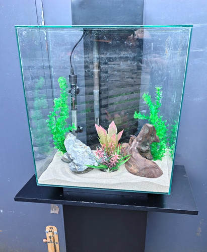 Fluval edge 46l - glass, aquarium