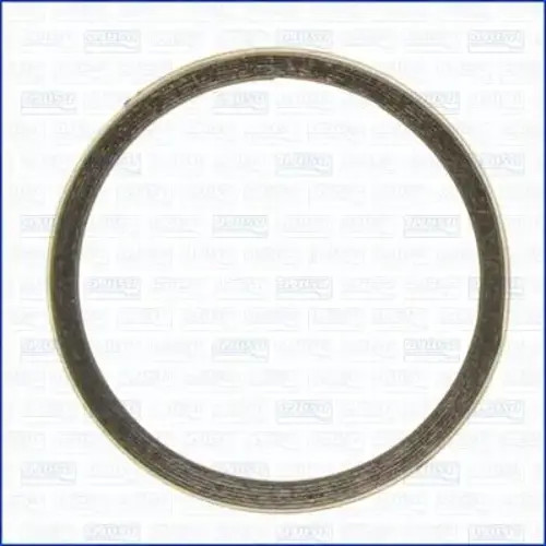 Exhaust pipe gasket 19005500