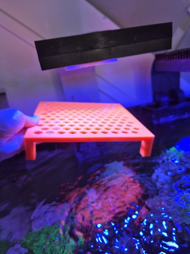 Frag rack printed - frag, 3d