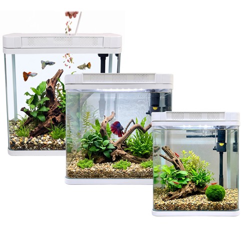 Aquarium fish tank - aquarium, kit