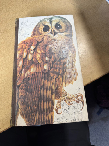 Book british birds - book,