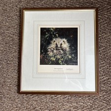 David Shepherd limited edition