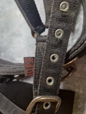 Eclipse Pony Size Headcollar With Diamanté Faded