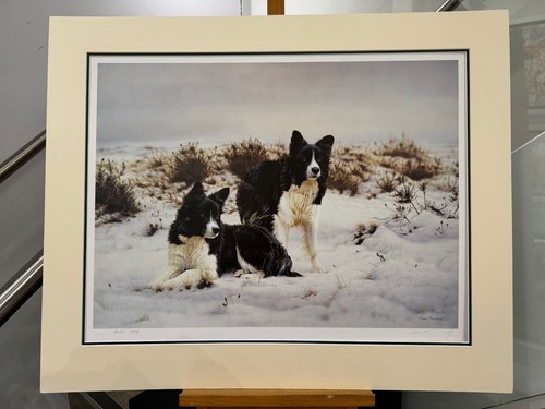 Steven townsend snow search - steven,