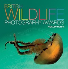 British Wildlife Photography