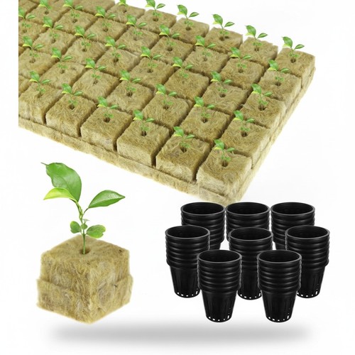 Hydroponic grow cubes pcs - hydroponic,