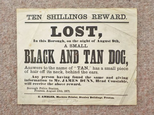 1871 lost dog victorian poster - lost,