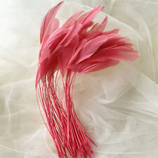 Stripped Coque Feather