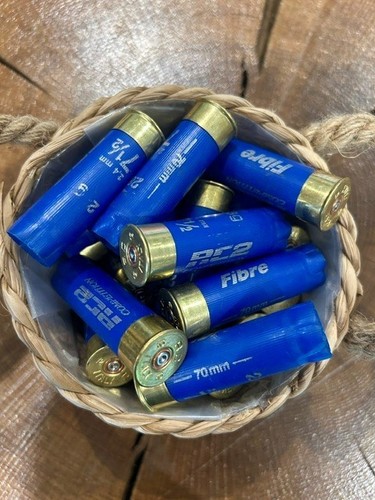 Spent shotgun cartridge cases - spent,