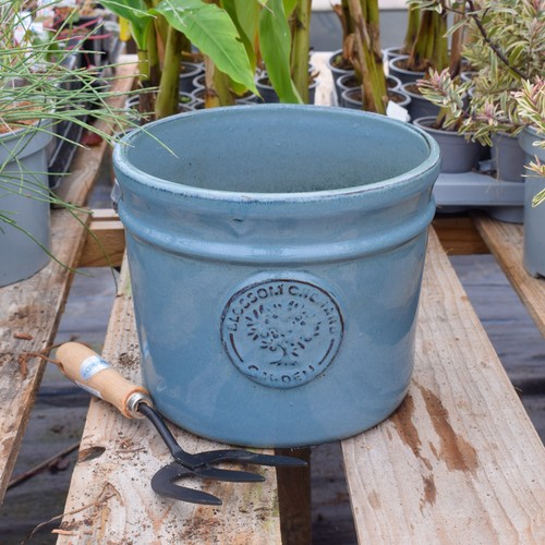Plant pot ceramic 24cm - plant,
