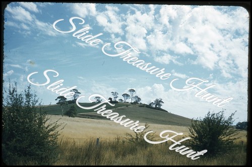 Australia field paddocks - field,