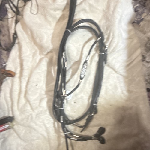 Horse bridle with - bridle, bit