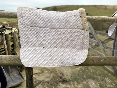 White full sized saddle pad - sized,