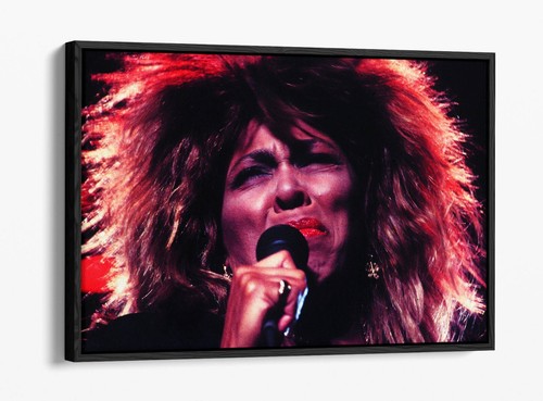 Tina turner singer retro - turner,