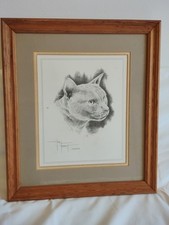 Drawing of Burmese Cat. Framed Wall Art Ready to Hang