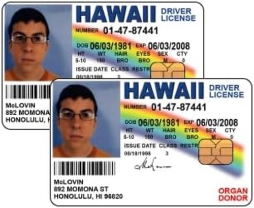 Mclovin driver license - mclovin,