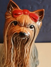 Yorkshire terrier miniature - yorkshire,