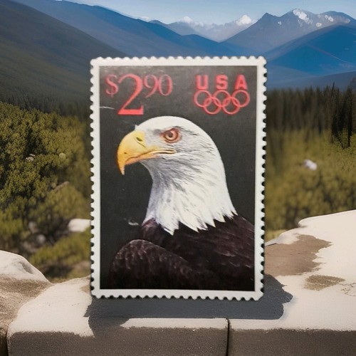 Brand new american eagle - new,