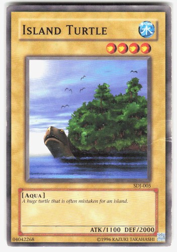 Island turtle common starter - island,