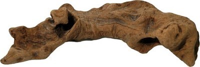 Mopani wood terrarium - mopani,