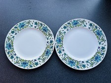2 Midwinter Spanish Garden Dinner Plates 27cm Diameter