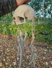 Skull Hanging Decor Bone Wind