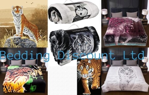 Animal print mink - animal,