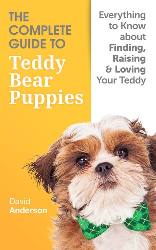 Teddy bear dog - bear,