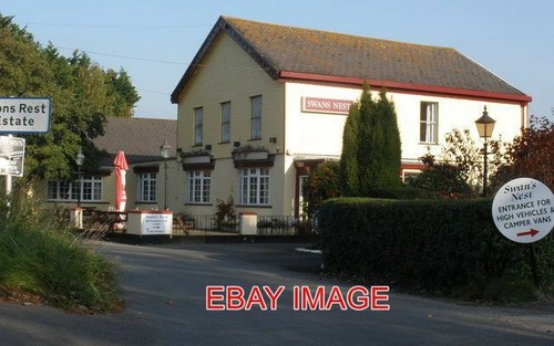 Photo the swan - , swan's