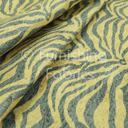 Grey beige colour - colour, animal