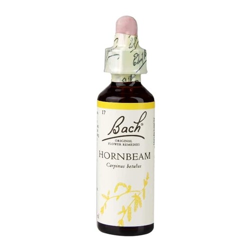 Bach flower remedies hornbeam - bach,