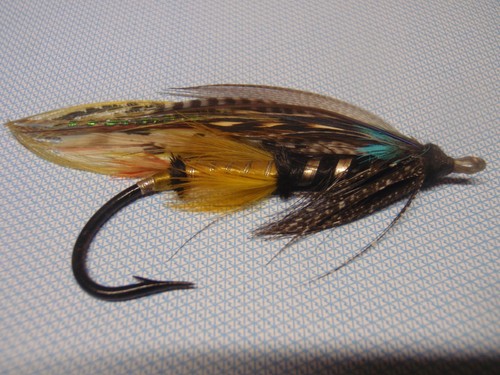 Vintage gut eyed - , fly