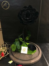 Opulent By Endura Roses 100% Natural Preserved Last Upto 10years 