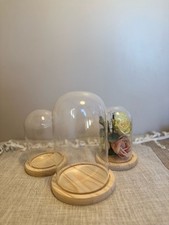Glass Dome Cloche Bell Jar