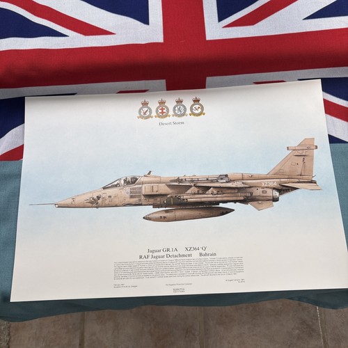 Squadron prints desert - squadron,