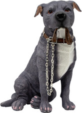 Staffordshire Bull Terrier
