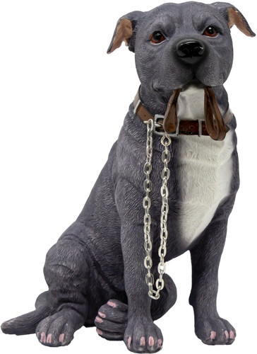 Staffordshire bull terrier - staffordshire,