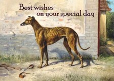 GREYHOUND RACING STANDING DOG