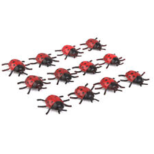 12PCS Ladybird Model Ladybug