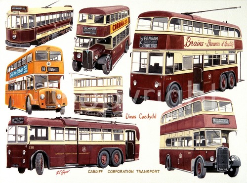 Cardiff corporation trams - corporation,