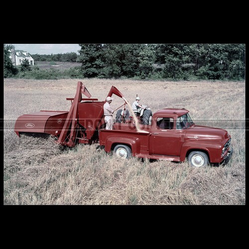Photo 004752 ford 100 - photo,