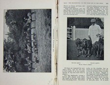 Original Old Antique Print