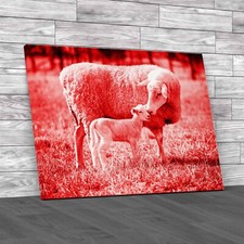 A White Suffolk Sheep With A