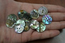 12 PCS ROUND ABALONE SHELL